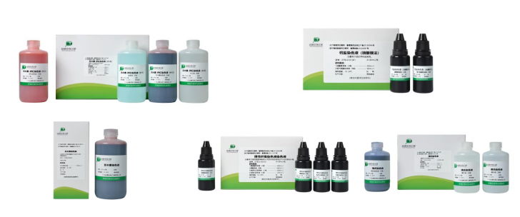 明升mansion88(中国集团)最新官方网站